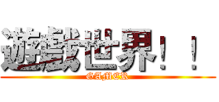 遊戲世界！！ (GAMER)