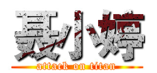 聂小婷 (attack on titan)