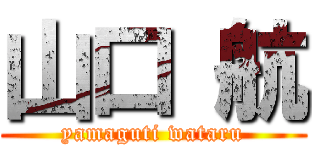 山口 航 (yamaguti wataru)