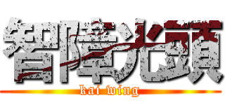 智障光頭 (kai wing)
