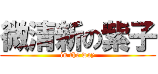 微清新の紫子 (in the way)