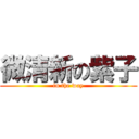 微清新の紫子 (in the way)