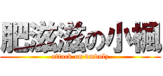 肥滋滋の小楓 (attack on vmvulz)