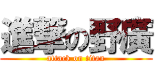 進撃の野廣 (attack on titan)