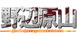 野辺原山 (Nobeharayamakaisetu)