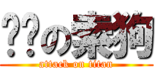 进击の索狗 (attack on titan)