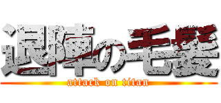 退陣の毛髪 (attack on titan)