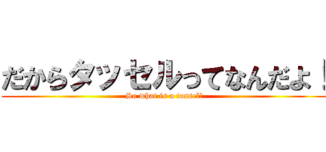 だからタッセルってなんだよ！ (So what is a tassel！)