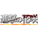 進撃の花咲 (attack on Ｈａｎａｓｋｉ)