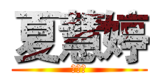 夏慧婷 (夏慧婷)