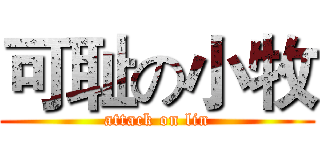 可耻の小牧 (attack on lin)