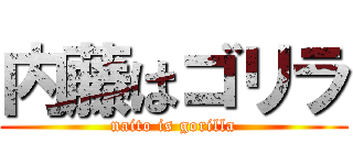 内藤はゴリラ (naito is gorilla)