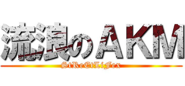 流浪のＡＫＭ (StReEtLiFex)