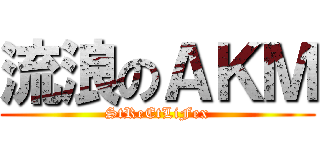 流浪のＡＫＭ (StReEtLiFex)