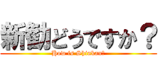 新勧どうですか？ (How is Shinkan?)