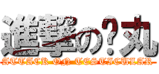 進撃の搞丸 (ATTACK ON TESTICULAR)