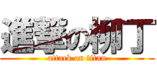 進撃の柳丁 (attack on titan)