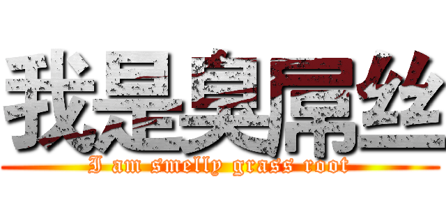 我是臭屌丝 (I am smelly grass root)