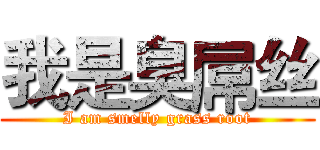我是臭屌丝 (I am smelly grass root)