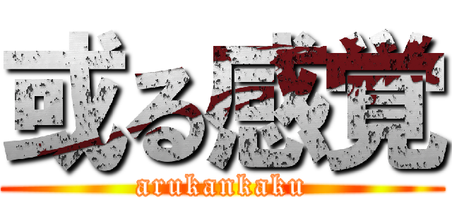 或る感覚 (arukankaku)
