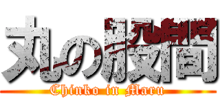 丸の股間 (Chinko in Maru)