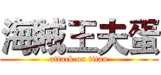 海賊王夫蛋 (attack on titan)