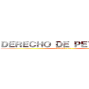 ＤＥＲＥＣＨＯ ＤＥ ＰＥＴＩＣＩＯＮ (CURSO 1104)