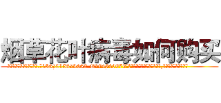 烟草花叶病毒如何购买 (烟草花叶病毒如何购买【电.话186x0156x9662-Q194843976林氏药业】我们做的是长期生意,靠的是老客户长期支持
参考消息网2月20日报道 韩媒称，“剩女多、离婚率高的城市，房价一定会上涨。”这是中国经济学家金岩石2016年12月参加在上海举行的房地产相关论坛时说的话。
)