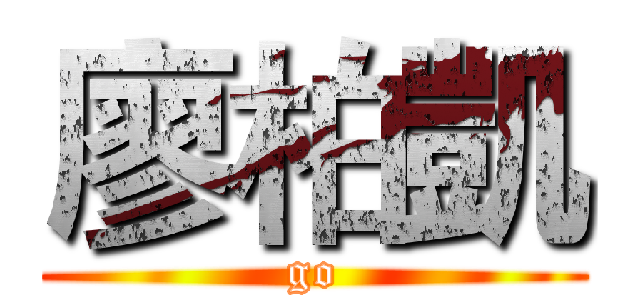 廖柏凱 (go)