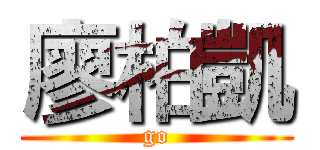 廖柏凱 (go)