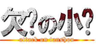 欠揍の小弹 (attack on tanshou)