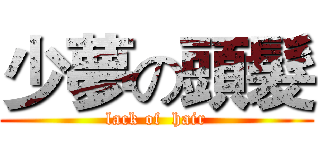 少夢の頭髮 (lack of  hair)