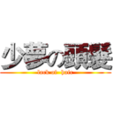 少夢の頭髮 (lack of  hair)