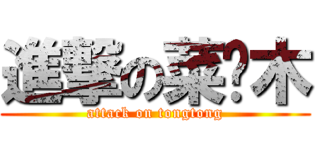 進撃の菜雞木 (attack on tongtong)