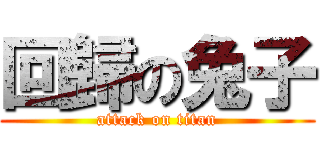 回歸の兔子 (attack on titan)