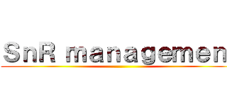 ＳｎＲ ｍａｎａｇｅｍｅｎｔ ()