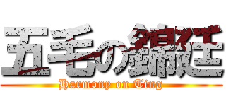 五毛の錦廷 (Harmony on Ting)