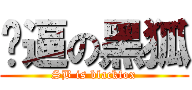 傻逼の黑狐 (SB is blackfox)