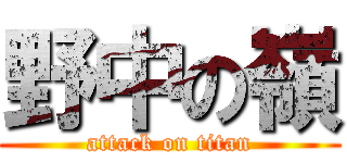 野中の嶺 (attack on titan)