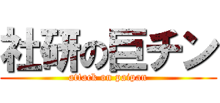 社研の巨チン (attack on paipan)