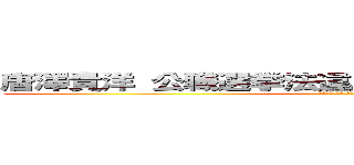 唐澤貴洋 公職選挙法違反 レイシスト 恐喝未遂 (唐澤貴洋 無能 被害者面 弟殺し)