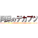 阿呆のデカブツ (attack on racoon)