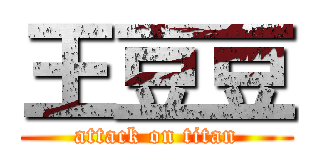 王豆豆 (attack on titan)