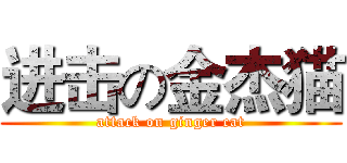 进击の金杰猫 (attack on ginger cat)
