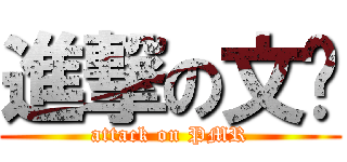 進撃の文钟 (attack on PMR)