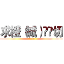 求橙（诚）❤️切 (国会142)