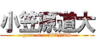 小笠原道大 (gattu of a GIANTS)