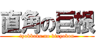 直角の巨根 (tyokkaku no kixyokon)