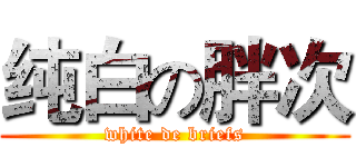 纯白の胖次 (white de briefs)