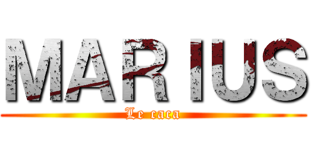 ＭＡＲＩＵＳ (Le caca)